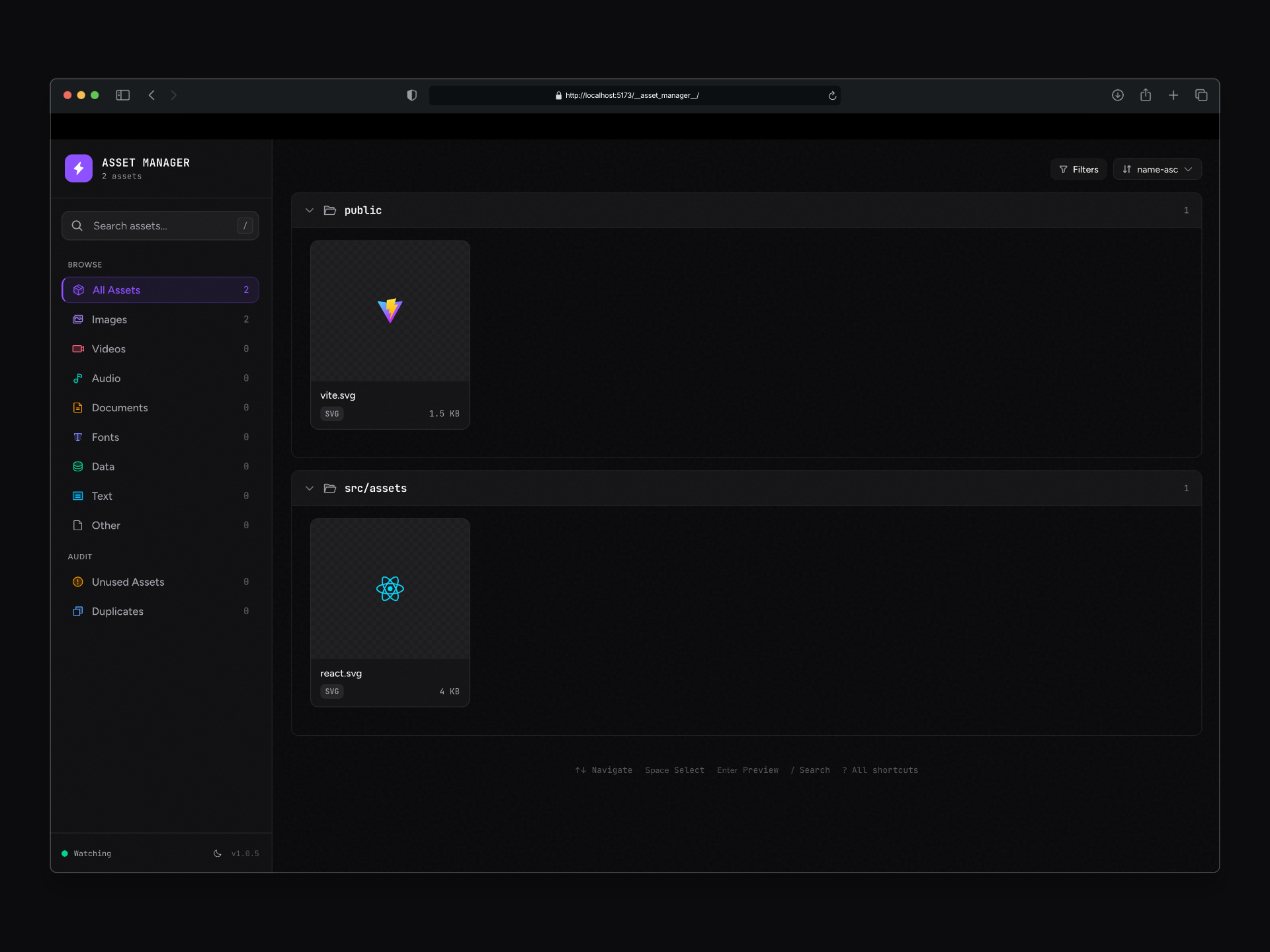 Vite Asset Manager dashboard